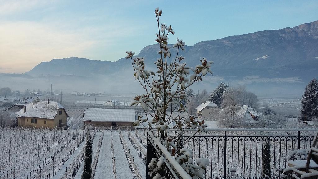 Brandlgut Otel Bolzano Dış mekan fotoğraf